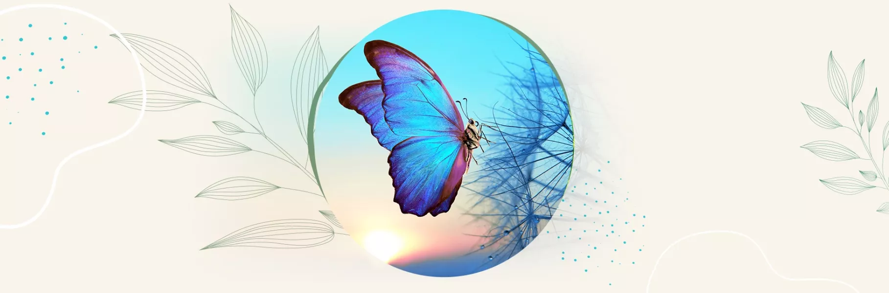 L’eveil du papillon